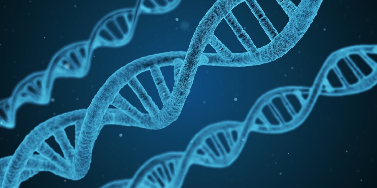 香港6合开奖结果+开奖记录2023，生物医学技术工程MA933.473