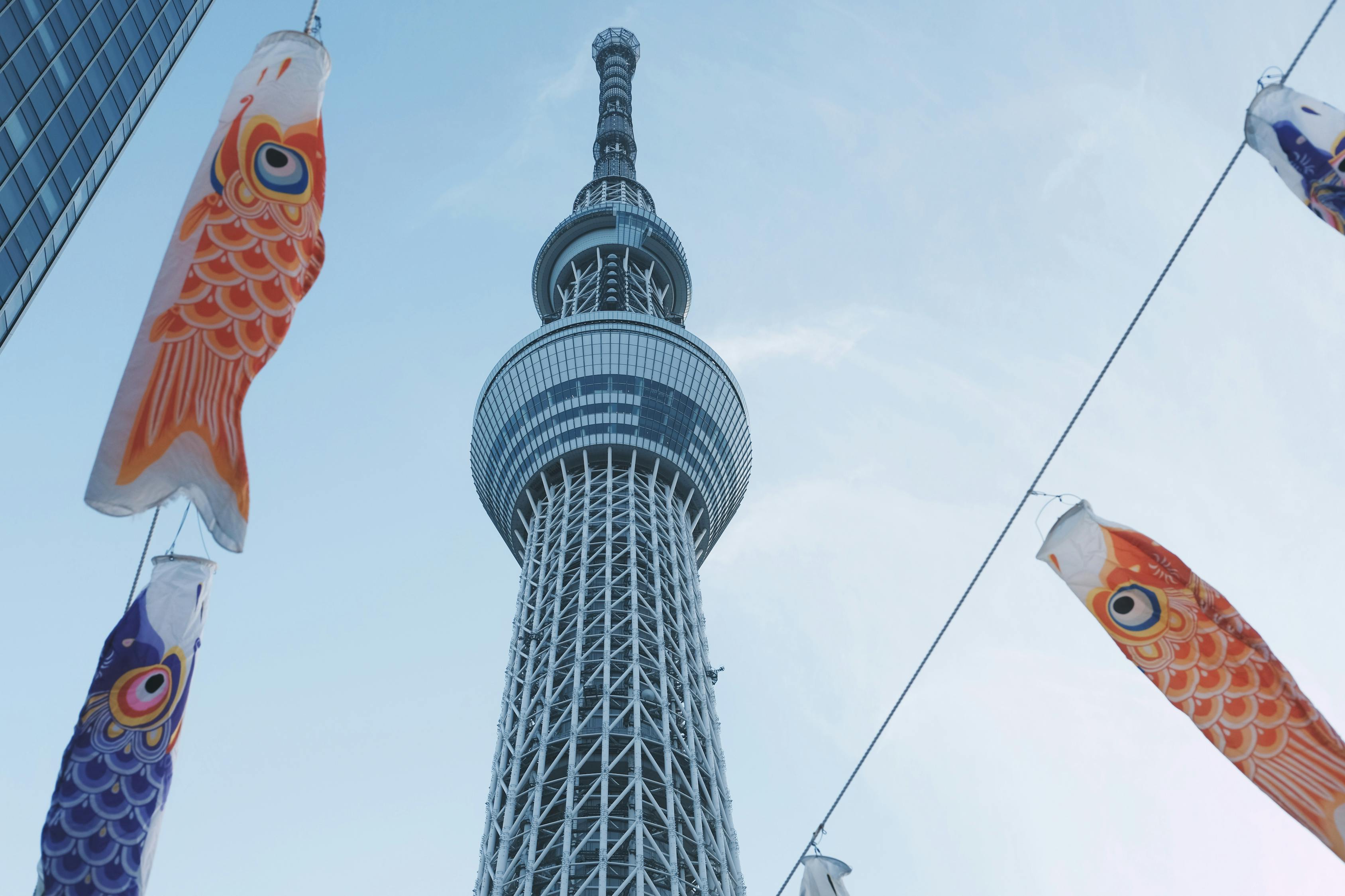 阿信与日本电视剧，跨越时空的文化交融之旅