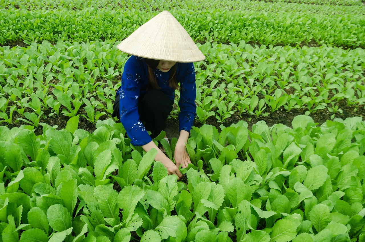 揭秘崔始源与刘雯的最新动态与发展