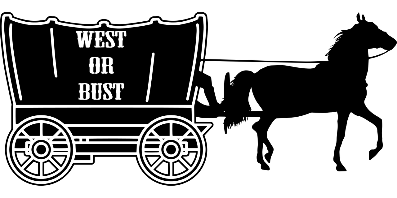 王飘扬最新动态揭秘，引领前沿科技，行业创新先锋